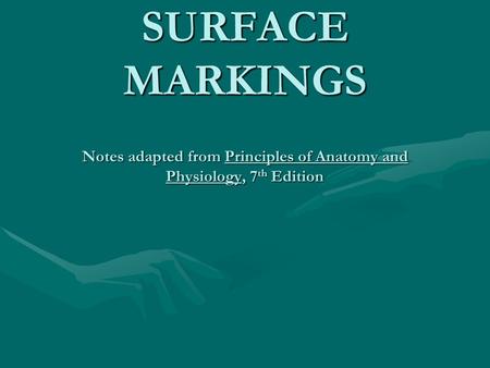 BONE LANDMARKS AND SURFACE MARKINGS Notes adapted from Principles of Anatomy and Physiology, 7 th Edition.