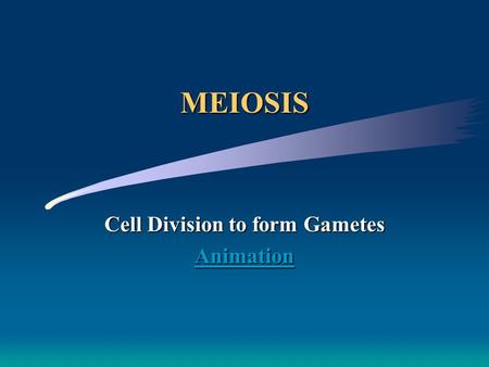 MEIOSIS Cell Division to form Gametes Animation Meiosis: Animation CLICK HERE!