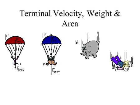 Terminal Velocity, Weight & Area