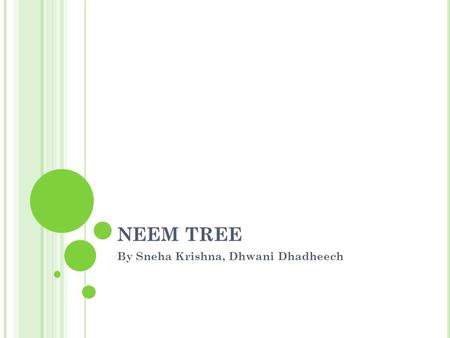 NEEM TREE By Sneha Krishna, Dhwani Dhadheech. INTRODUCTION Among the many natural plants and herbs that people in India use for their medicinal properties.