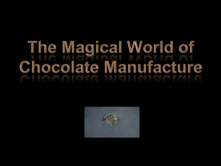 The Magical World of Chocolate Manufacture