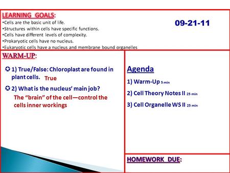 Agenda 1) Warm-Up 5 min 2) Cell Theory Notes II 25 min 3) Cell Organelle WS II 25 min 09-21-11 True The “brain” of the cell—control the cells inner workings.