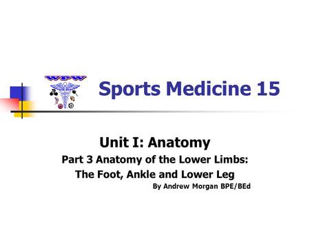 Sports Medicine 15 Unit I: Anatomy Part 3 Anatomy of the Lower Limbs: