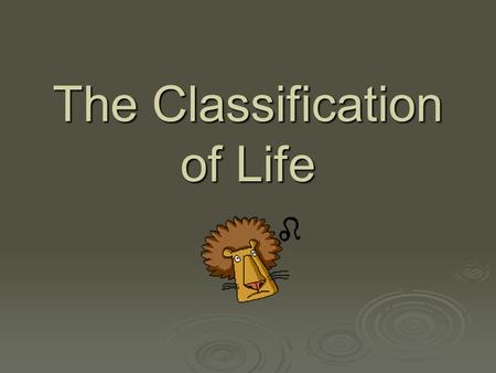 The Classification of Life. Classification of Life Biology » The study of life Taxonomy » Classification and naming of organisms.