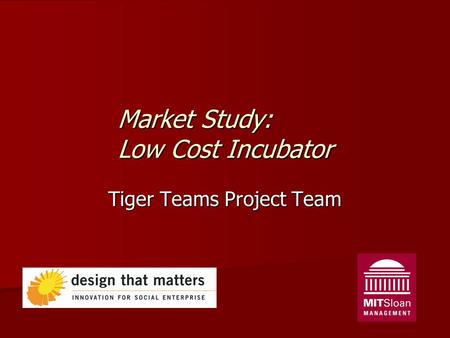 Market Study: Low Cost Incubator Tiger Teams Project Team.
