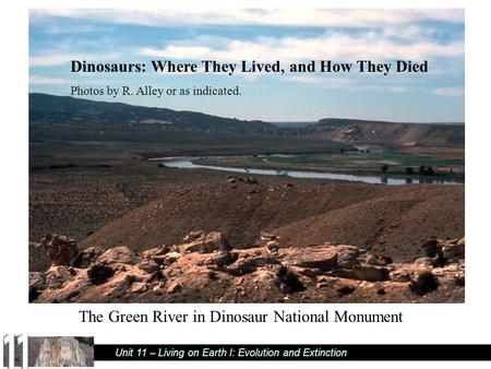 Unit 11 – Living on Earth I: Evolution and Extinction Dinosaurs: Where They Lived, and How They Died Photos by R. Alley or as indicated. The Green River.