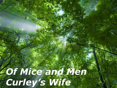 Free Powerpoint Templates Page 1 Free Powerpoint Templates Of Mice and Men Curley’s Wife.