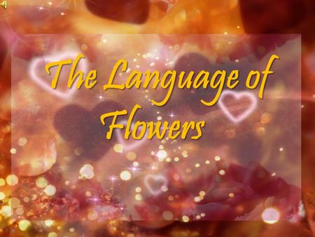 The Language of Flowers. A Plan Flowers hold a special significance in everybody's life. Every flower has some significance and holds an individual meaning.
