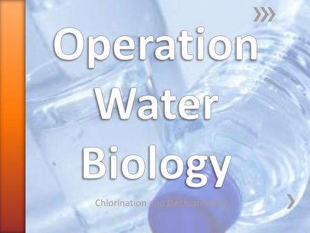 Chlorination and Dechlorination. » What is the purpose of a water treatment plant? ˃To remove all contaminants and make the water safe to drink » What.