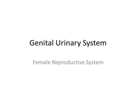 Genital Urinary System Female Reproductive System.