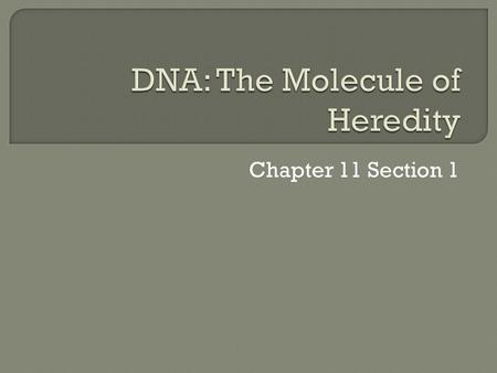 Chapter 11 Section 1.  DNA  Proteins  Enzymes  Protein- Large complex polymer that is composed of carbon, hydrogen, oxygen, nitrogen and sometime.