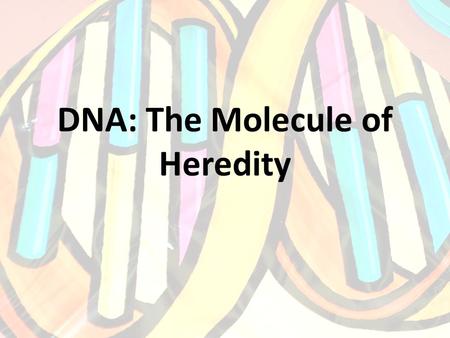 DNA: The Molecule of Heredity. DNA Structure Deoxyribonucleic acid. A macromolecule composed of two strands of monomers called nucleotides. These strands.
