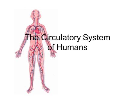 The Circulatory System of Humans What is that ‘lub dub, lub, dub’ noise in my chest? The noise is the sound of your heart as it pumps blood.
