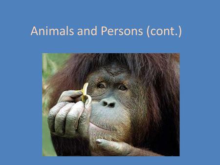 Animals and Persons (cont.). Tom Regan Contemporary American Philosopher Deontologist, in the tradition of Kant Specialist in animal rights The Case for.