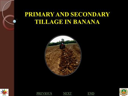 PRIMARY AND SECONDARY TILLAGE IN BANANA PREVIOUS NEXTEND.
