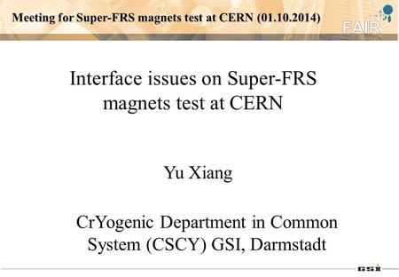 Interface issues on Super-FRS magnets test at CERN