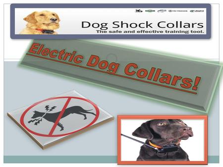 How do electric dog collars work? Speed of training and timing of simulation (immediate response) Effective sizes combinations (wont have to struggle.