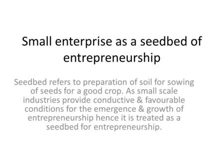 Small enterprise as a seedbed of entrepreneurship
