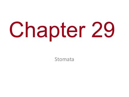 Chapter 29 Stomata. You Must Know Mechanisms by which plant cells communicate with other cells.