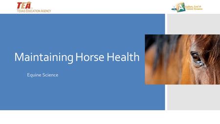 Maintaining Horse Health Equine Science. How do you know when you are sick? First you must recognize what is normal for you— then you can identify abnormal.