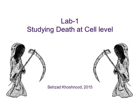 Lab-1 Studying Death at Cell level Behzad Khoshnood, 2015.