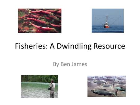 Fisheries: A Dwindling Resource By Ben James. How has the fish resource in British Columbia been effected over time?