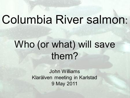 Columbia River salmon : Who (or what) will save them? John Williams Klarälven meeting in Karlstad 9 May 2011.