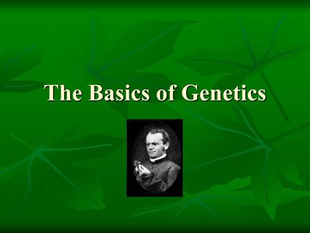 The Basics of Genetics Principles of Genetics.