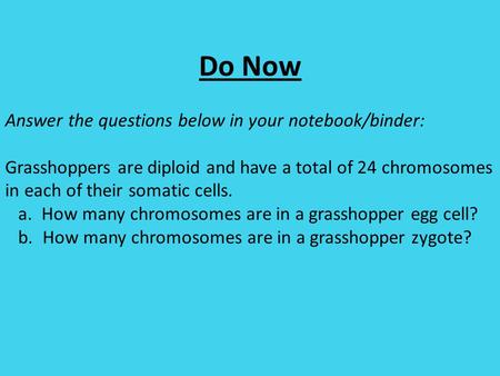 Do Now Answer the questions below in your notebook/binder: