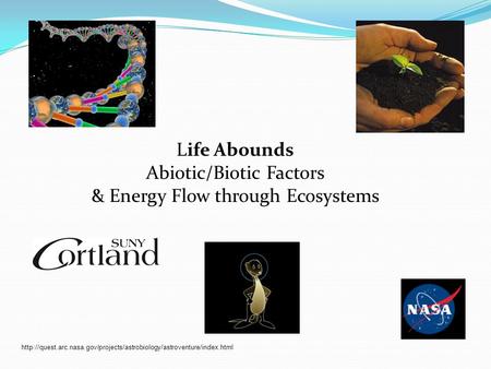 Life Abounds Abiotic/Biotic Factors & Energy Flow through Ecosystems