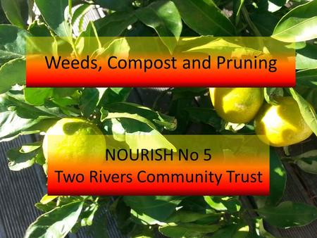 Weeds, Compost and Pruning NOURISH No 5 Two Rivers Community Trust.