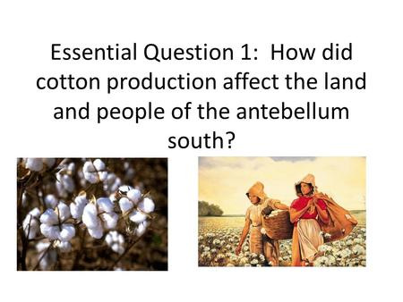 Essential Question 1: How did cotton production affect the land and people of the antebellum south?