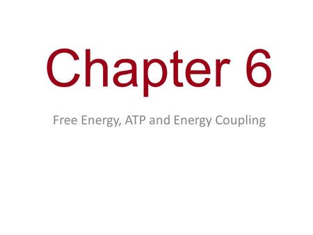Free Energy, ATP and Energy Coupling
