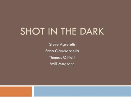 SHOT IN THE DARK Steve Agretelis Erica Gambardella Thomas O’Neill Will Magrann.