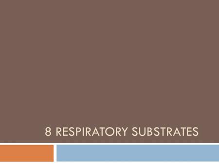 8 RESPIRATORY SUBSTRATES. Learning Objective  To understand about respiratory substrates Success Criteria  define the term respiratory substrate; 