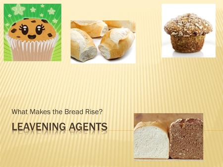 What Makes the Bread Rise?.  What’s the difference?