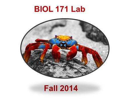 BIOL 171 Lab Fall 2014.