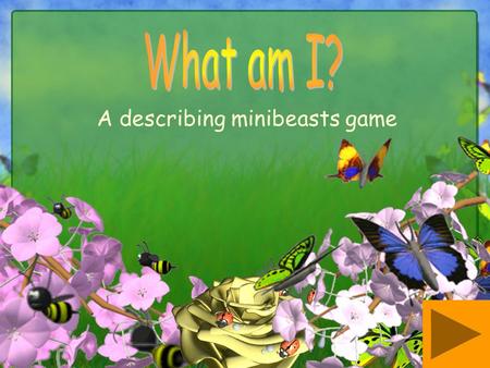 A describing minibeasts game
