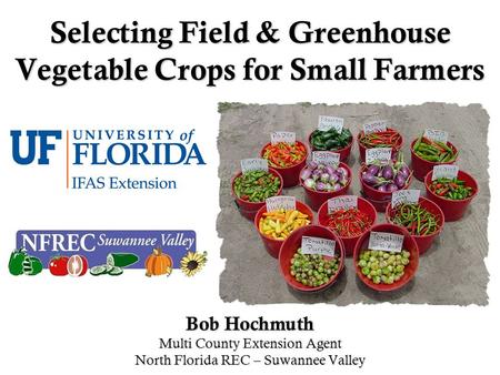 Selecting Field & Greenhouse Vegetable Crops for Small Farmers Bob Hochmuth Multi County Extension Agent North Florida REC – Suwannee Valley.