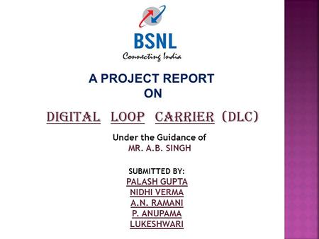 A PROJECT REPORT ON DIGITAL LOOP CARRIER (DLC) Under the Guidance of MR. A.B. SINGH SUBMITTED BY: PALASH GUPTA NIDHI VERMA A.N. RAMANI P. ANUPAMA LUKESHWARI.