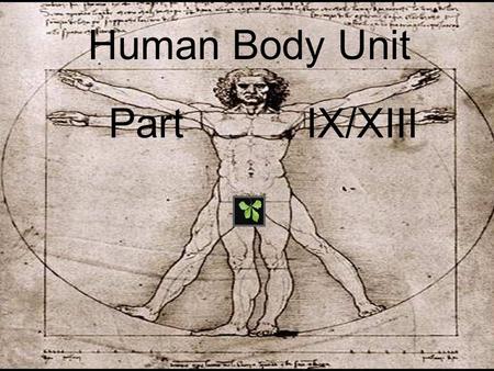 Human Body Unit Part IX/XIII. Human Body Unit Part IX/XIII.