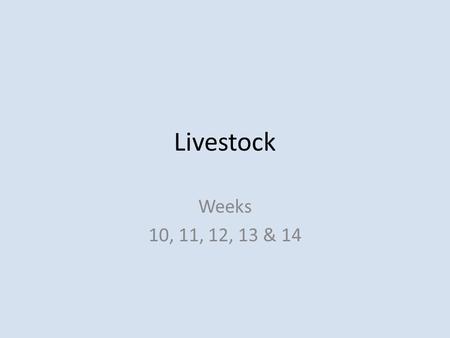 Livestock Weeks 10, 11, 12, 13 & 14. Pre- test 1.Name as many Livestock animals as you can? 2.What is the Latin name for Cattle? 3.What is the Latin name.