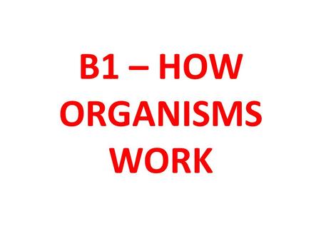 B1 – HOW ORGANISMS WORK. Learning Objective To be able to explain how diet and exercise effect the human body Key words: Carbohydrates, Sugars, Fats,