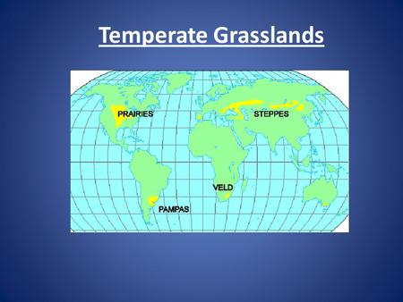 Temperate Grasslands. Topics Location Temperature Rainfall Flora and Fauna.