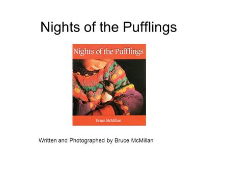 Nights of the Pufflings Written and Photographed by Bruce McMillan.