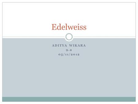 ADITYA WIKARA 9.2 05/11/2012 Edelweiss. What is Edelweiss? Edelweiss is a type of flower, comes from the German word. Edel means noble, weiss means white.