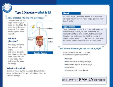 Type 2 Diabetes—What Is It? “ I have diabetes. What does that mean? ” Diabetes means that the sugar levels in your blood are too high. To understand diabetes,