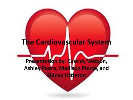 The Cardiovascular System Presentation By: Cassidy Watson, Ashley Poore, Madison Pierce, and Sidney Littleton.