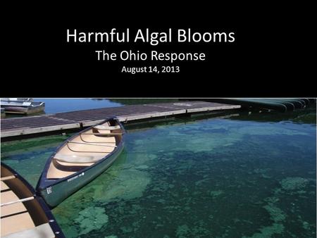 Harmful Algal Blooms The Ohio Response August 14, 2013.