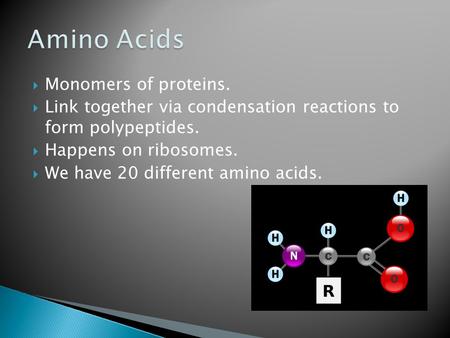  Monomers of proteins.  Link together via condensation reactions to form polypeptides.  Happens on ribosomes.  We have 20 different amino acids.